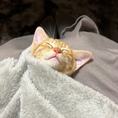 akanendo's profile picture. アート、音楽、サッカー（フロンターレ）、旅行、ボートゲームが好き。うろうろしたりしとります。