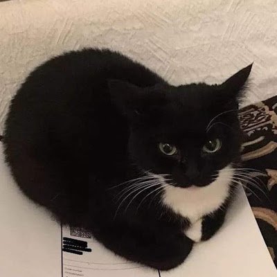 EmilioMaxw33444's profile picture. 