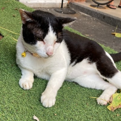 Kukulas26's profile picture. 