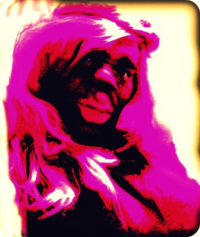 Babygurlisha's profile picture. College Student and part time Anti-Troll Warrior. I also love spreading positivity and demolishing h8. But don't get it twisted I ain't afraid to crush a Trick.