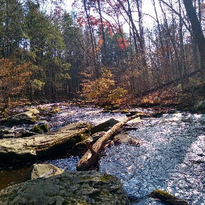 JulieAn96542831's profile picture. Health Geek