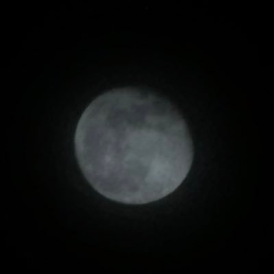 ForBlahblahblah's profile picture. 😇