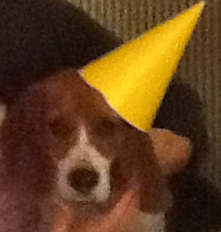 XavierRozas1's profile picture. 