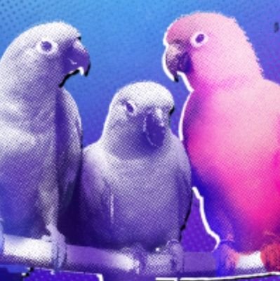 owousoso's profile picture. 