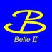 Belle II Experiment (@belle2collab) Twitter profile photo