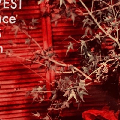 DTKJ10101's profile picture. 宮舘王国