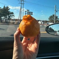 まあ (@makotokunno) 's Twitter Profile