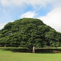 🏞🏕♪旅行好き！　　邦ロック好き　エルレ　BRAHMAN　Dragon Ash　10フィート　ワンオク　クロマニヨンズ　バースデー　マキシマムザホルモン　スカパラ　マイファス　ケムリ　ACIDMAN　アジカハナレグミ　モンパチ　Rize　BONＳケンヨコヤマ インスタフォロー dm okです