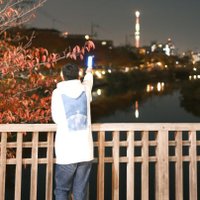 きゅう🌸花鳥風月💙(@hakuchumu9) 's Twitter Profile Photo