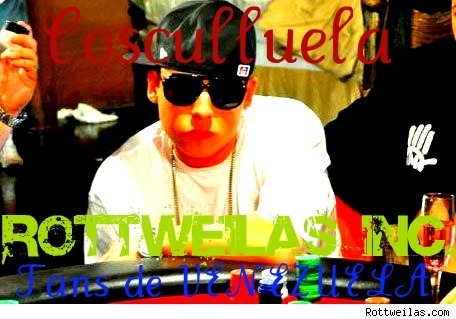 FANS DE COSCULLUELA DESDE VENEZUELA, FAMILIA ROTTWEILAS INC.