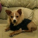 prince joey essex - @prince_lyons - Twitter