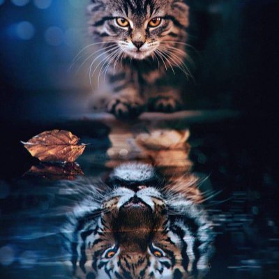 SKCoin1911's profile picture. Nothings