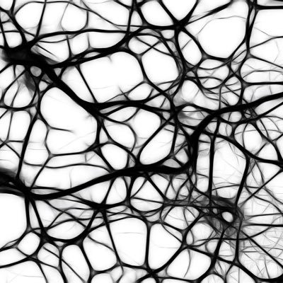 TristanDonNeuro's profile picture. Interested in medical applications of network neuroscience & neuromodulation.    

Email:ktdonaldson@mgh.harvard.edu