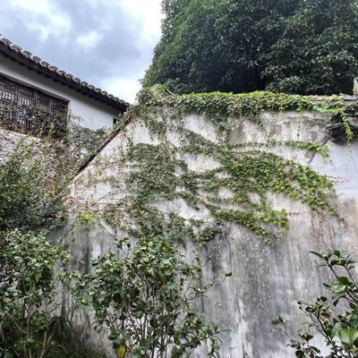 Josephlgz0410's profile picture. 😘