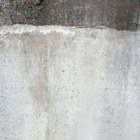 Eula Adams (@eulaa78315) 's Twitter Profile