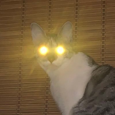 mouthfordayz's profile picture. 