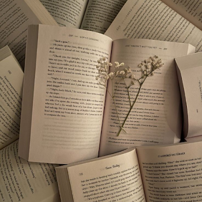 bookrecs38's profile picture. Tiktok: Bookrecs38