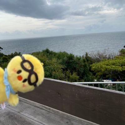 ぴかぴさんのプロフィール画像