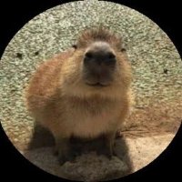 rat (@ratlist23783) 's Twitter Profile Photo rat (@ratlist23783) 's Twitter Profile Photo