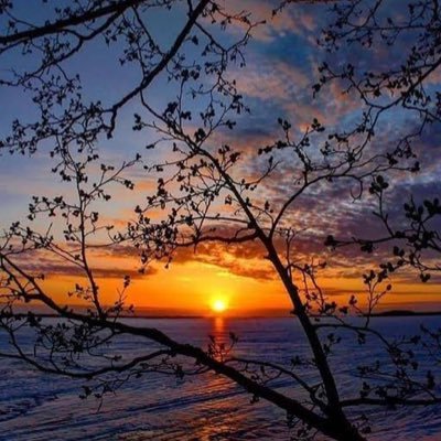 _RO__Ni_'s profile picture. Kul Hatasız Olmaz,,,,,,,🥀