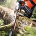 Ashwood tree and Garden services (@ashwoodtrees) Twitter profile photo