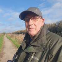Kevin Oram (@kevinoram6) 's Twitter Profile