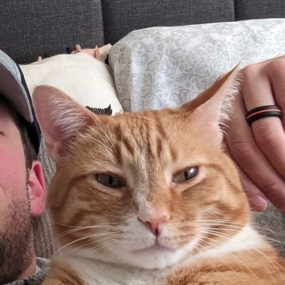 TheCincyCat Profile Picture