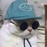 Why? (@whereisoutbreak) 's Twitter Profile