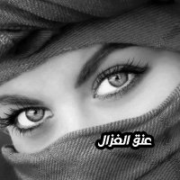 𓄃 ᓚ⅃І͛jċɺІ͛ ᘓᓆɹ̇Ը︎ (@2__aly) 's Twitter Profile