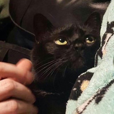 _onlymecanseait's profile picture. WayV| nct 127 | nct dream | TREASURE | ไม่รับฟอลแอคโชว์ยั่วโชว์เซ็กซี้โชว์นม ฟอลมาขอให้ไม่ถูกหวยตลอดชีวิต