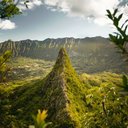 Ina Rose - @InaRose228614 - Twitter