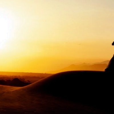 LallySchne33965's profile picture. 