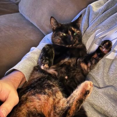 mlbprime_'s profile picture. 