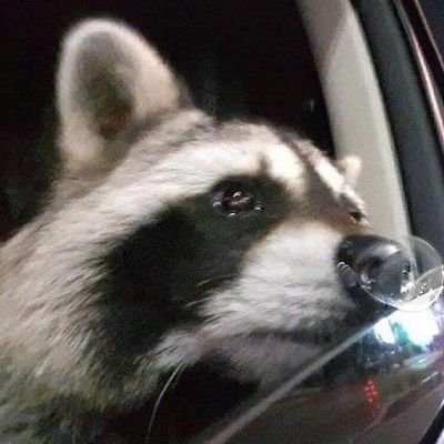 Androidiot66's profile picture. 