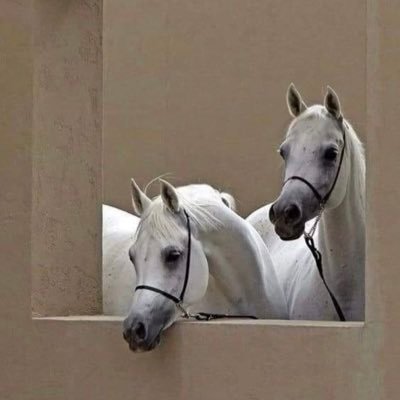 Sara0675795688's profile picture. 