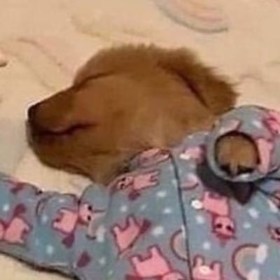 keepgoing_422's profile picture. 콘티 합니다.
🩵《황녀의 침실인형》S1~ 63
🩵《야행》작업 중