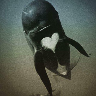 KarlssonKann's profile picture. List = blocked