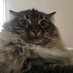 Jennifer S (@airbird6) Twitter profile photo Jennifer S (@airbird6) Twitter profile photo