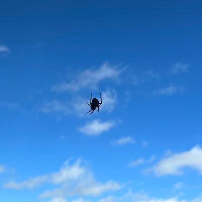 love_qhh's profile picture. student