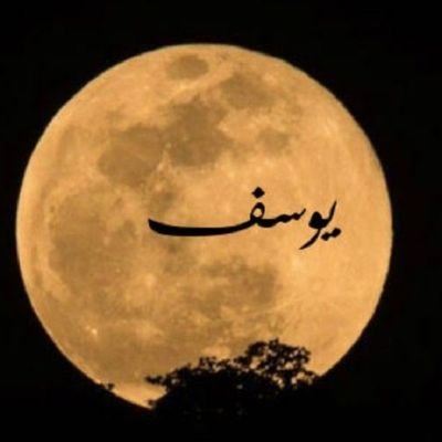🤲الله نور السموات والأرض🤲

there are no laws for feeling