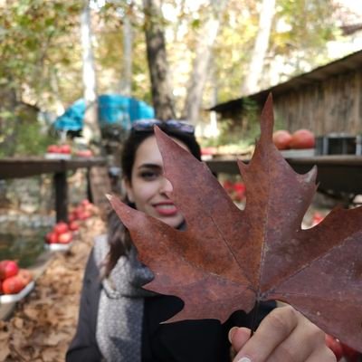 SZabet64537's profile picture. 