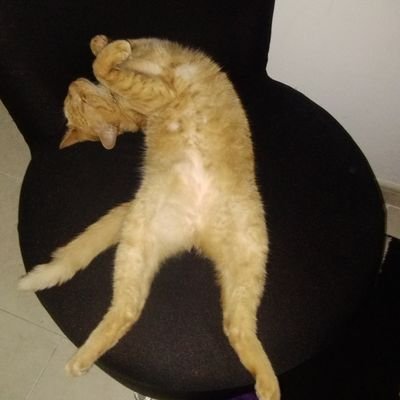 jberna1's profile picture. Ciudadano y padre