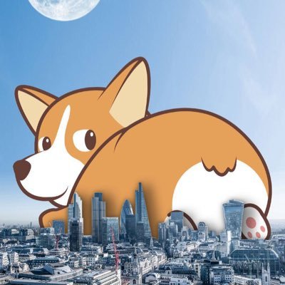 CORGICOIN_SQUAD Profile Picture