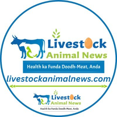 lsanimalnews07 Profile Picture