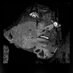 Romanoff_Tzar (@nine_romanoff) Twitter profile photo Romanoff_Tzar (@nine_romanoff) Twitter profile photo