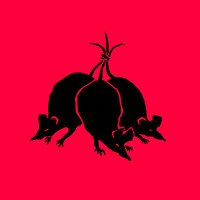 RAT KING IS ON BSKY/TUMBLR (@rattusrattusart) 's Twitter Profile