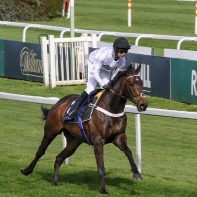 JumpR37105's profile picture. Data-driven performance figures & betting insights for serious punters on UK jump racing (Hdl, Chs, NHF). 24/25 season: +74.5pts | 125% ROI.