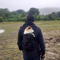 Rob Hughes (@robhughesrh) 's Twitter Profile Photo Rob Hughes (@robhughesrh) 's Twitter Profile Photo