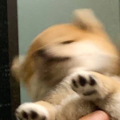 ‧₊˚𝐜𝐡𝐞𝐫𝐫𝐲𝐩𝐞𝐚𝐜𝐡༊*·˚さんのプロフィール画像