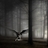 silbaram333's profile image